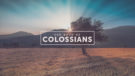 Colossians Week 6 Image