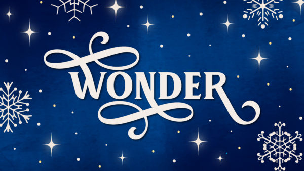Wonder| Mary Pondered Image